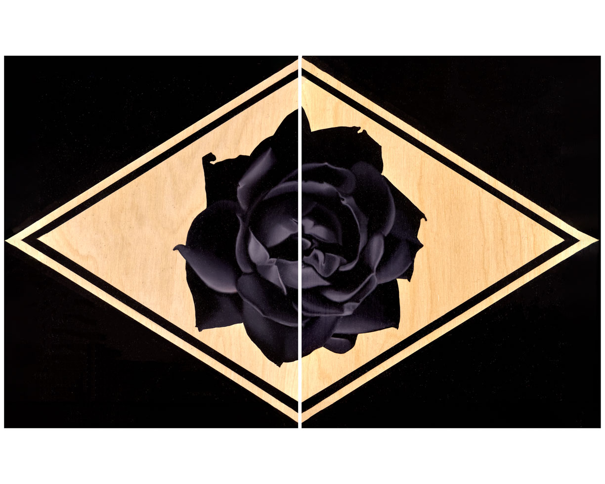Black Rose- 0x0 Oil Painting on Wood By Jodie Herrera